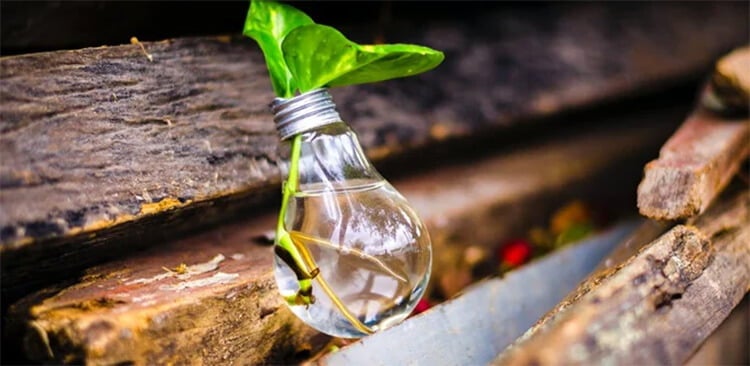 Gestão de Projetos em Inovação e Sustentabilidade - Faculdade Engenheiro Salvador Arena